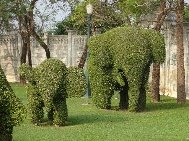 タイのアユタヤの王宮の庭